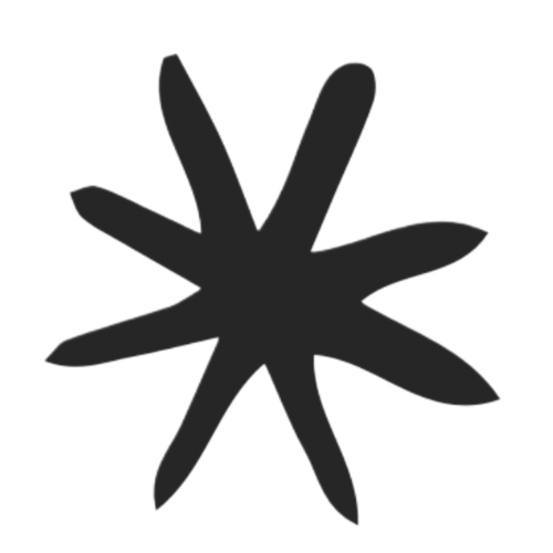 estrella negra