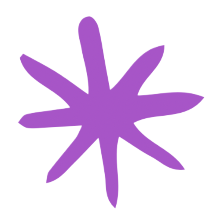 estrella violeta